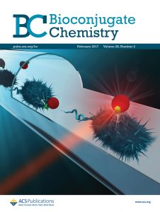 Bioconjugate Chemistry